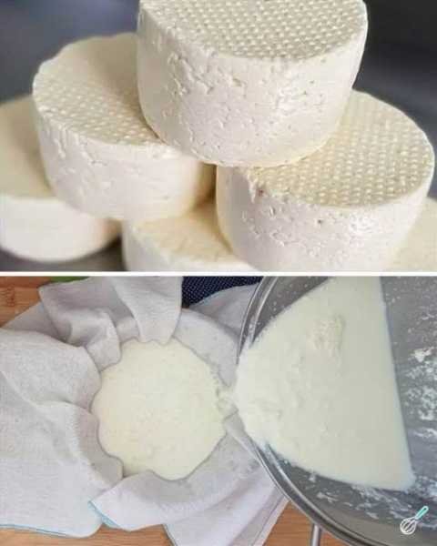 Como fazer um queijo caseiro