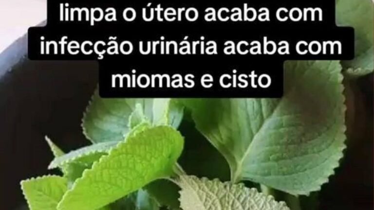 Limpa o útero acaba com infecção urinária acaba com miomas e cisto