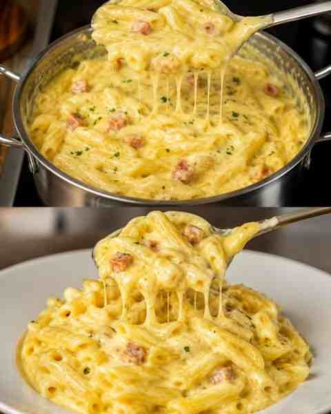 Macarrão ao Creme de Batata pronto para servir