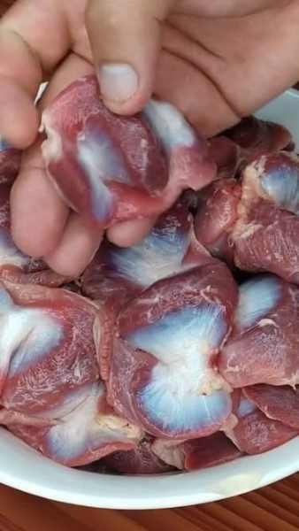 Moela de Frango ao Molho na Panela de Pressão