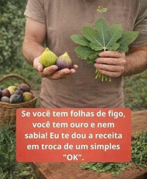 Chá de folhas de figo servido em xícara com folhas ao lado