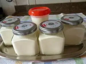Requeijão Caseiro de Liquidificador Cremoso: Receita Fácil com 4 Ingredientes