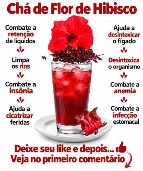 Chá de Flor de Hibisco com Canela e Louro