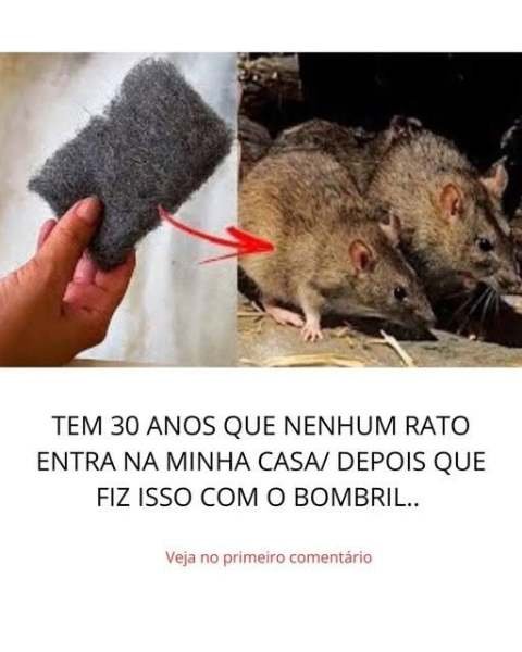 Como Bloquear Entradas de Ratos com Segurança