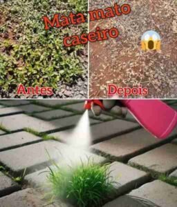 Como Controlar Matinho no Quintal sem Misturas Perigosas pronto para servir