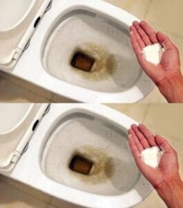 Como Limpar o Vaso Sanitário com Segurança e Deixar Bem Cuidado