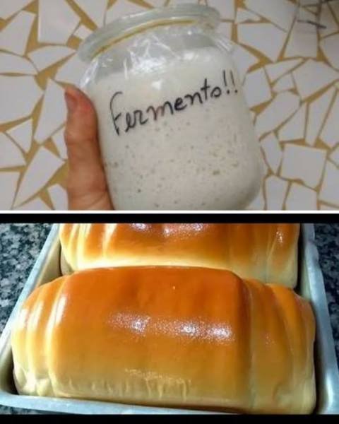 Fermento Natural para Pão Feito com Farinha e Água
