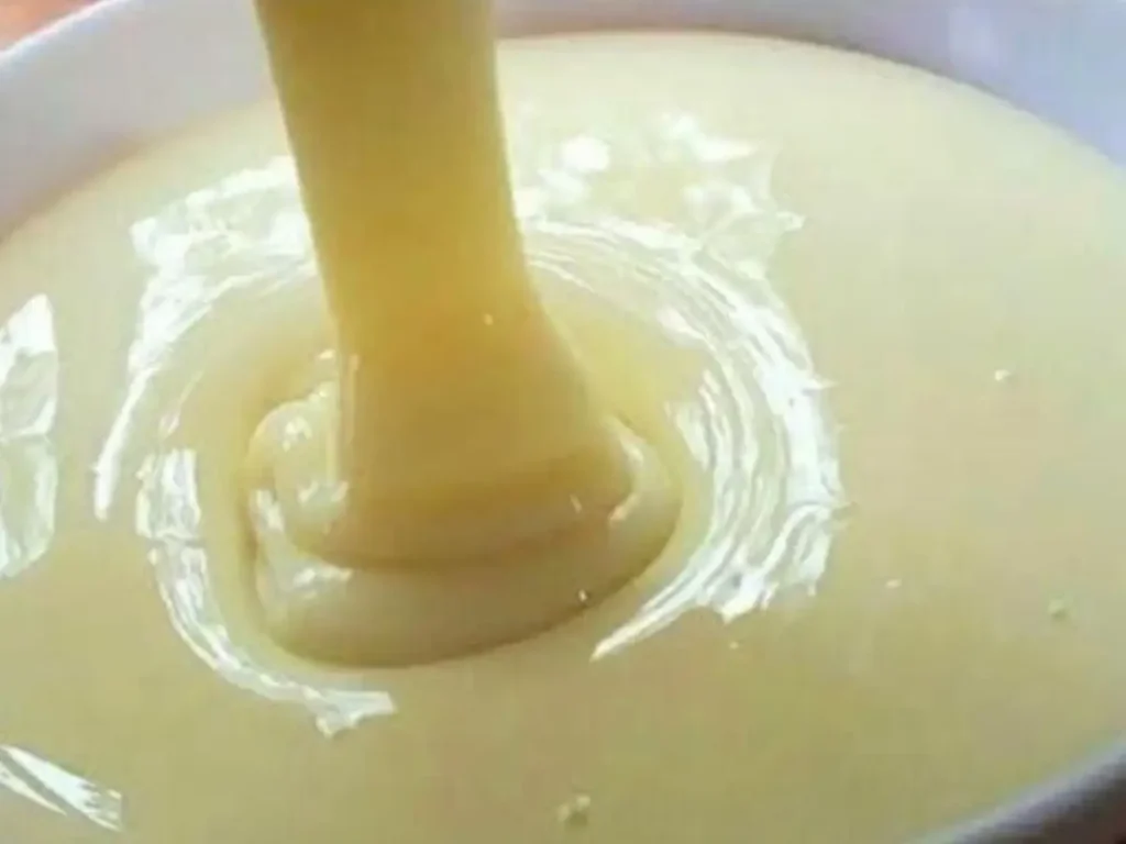 Leite Condensado Caseiro de Liquidificador com Leite em Pó e Quatro Ingredientes