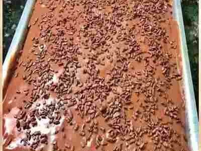 Bolo Nega Maluca