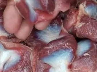 Moela de Frango ao Molho na Panela de Pressão