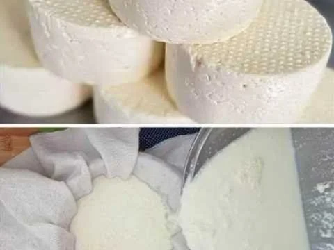 Queijo caseiro fresco
