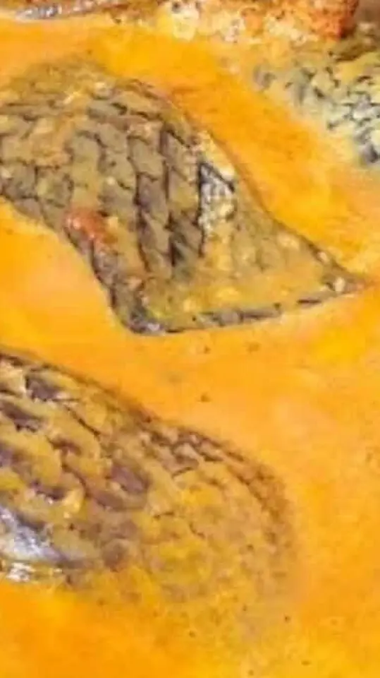 Peixe ao Molho Cremoso de Leite de Coco